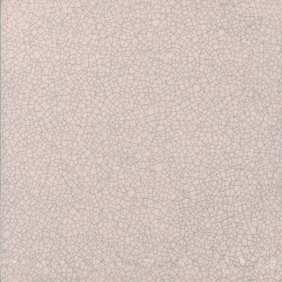 Color CMA019