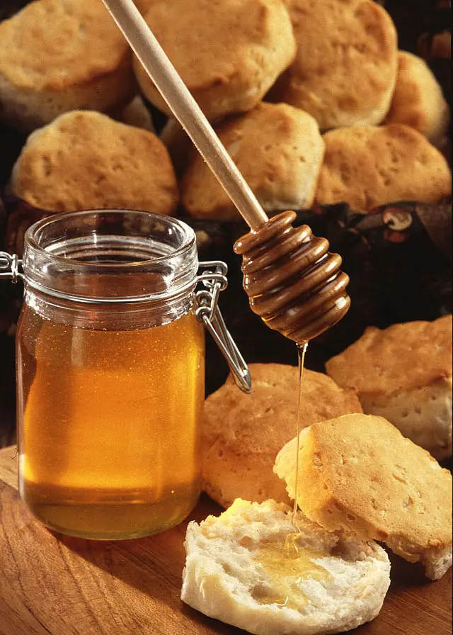 Honey being poured from a dipper into a jar Honey being poured from a dipper into a jar